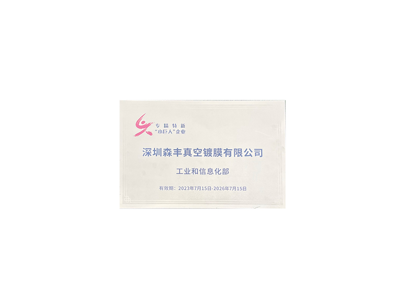 真空91好色先生TV污廠榮譽-國家高新技術企業